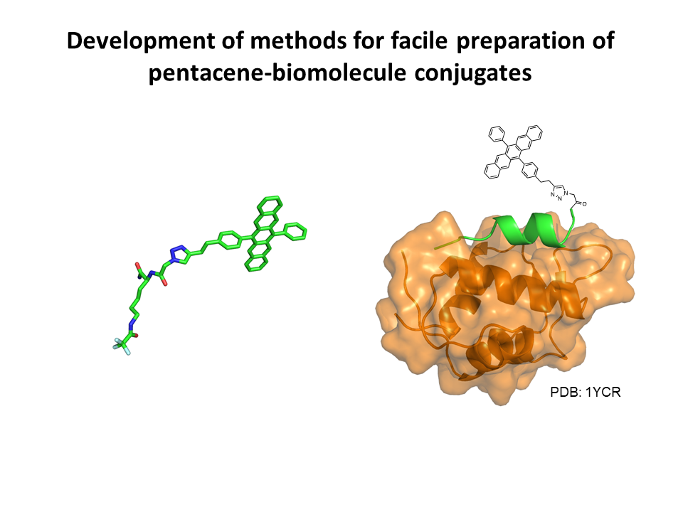 Development of methods for facile preparation of pentacene-biomolecule conjugates