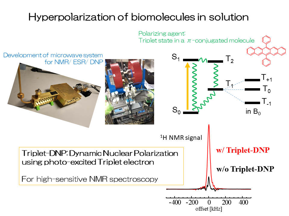 Hyperpolarization of biomolecules in solution