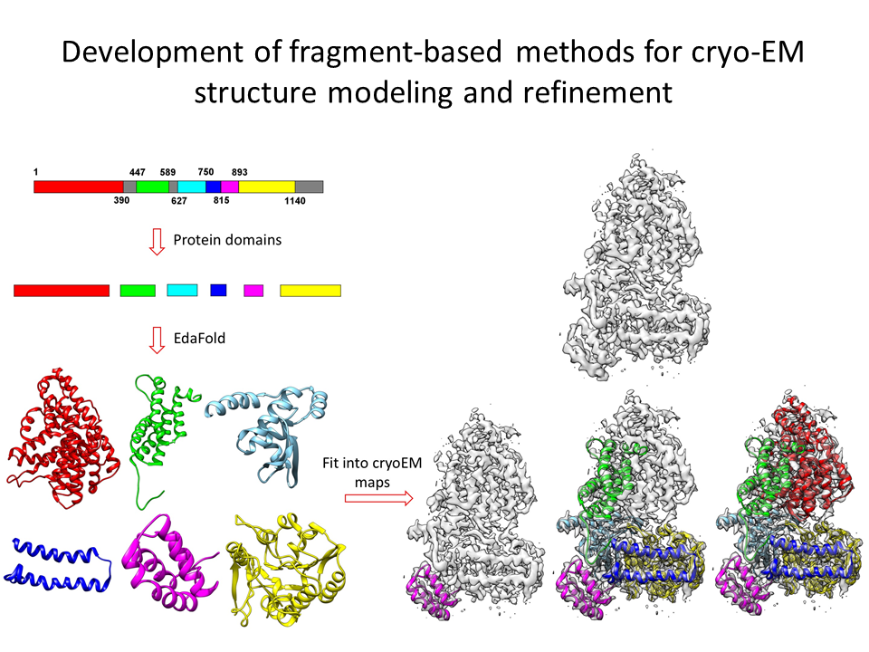 Development of fragment-based methods for cryo-EM structure modeling and refinement