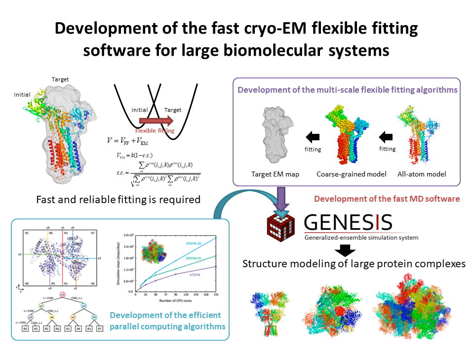 Development of the fast cryo-EM flexible fitting software for large biomolecular systems